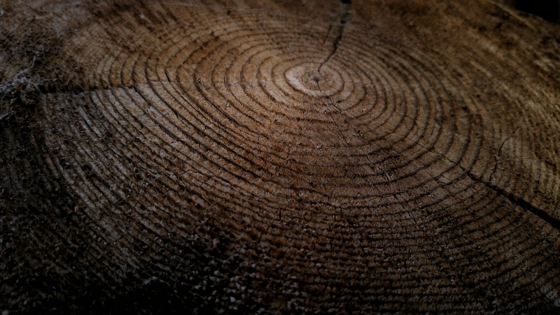 Meja Kayu Jati: Elegansi yang Tahan Lama